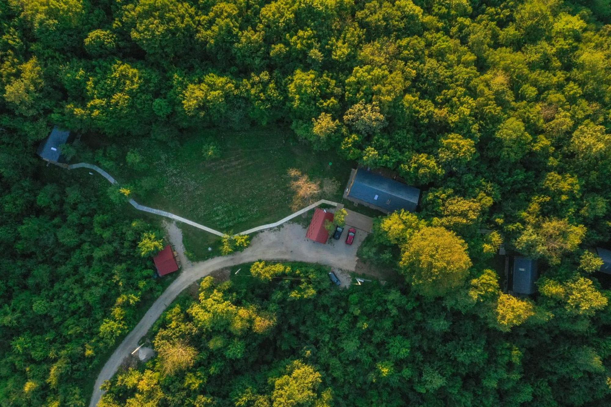 Tree Elements Treehouse Retreat Appartement Slunj Kamer foto